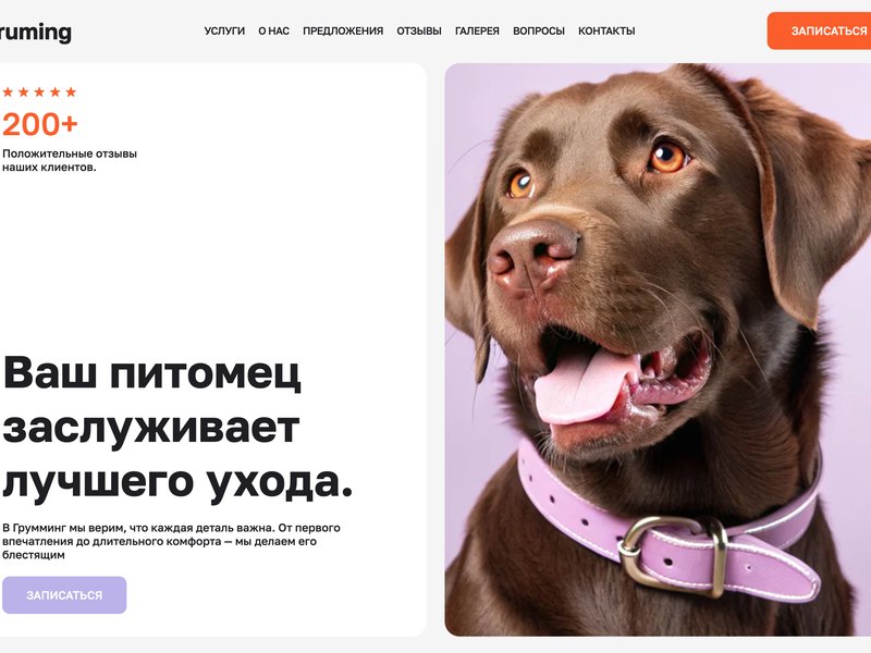 Груминг / зоосалон